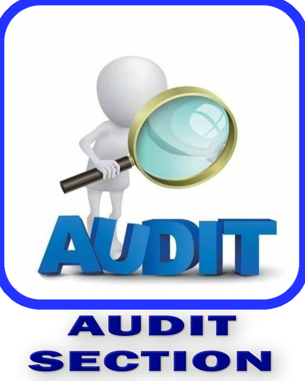 AUDIT SECTION